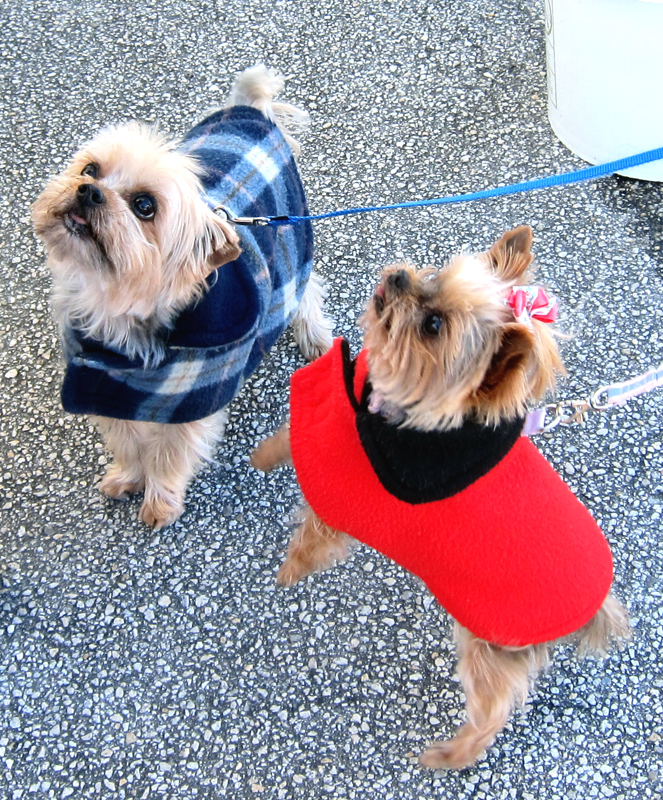 Mohsie and Bella Mia Loewinger