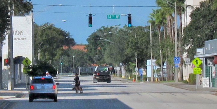 Traveling westbound the "Twin Pairs" in downtown Vero Beach a vehicle brakes for pedestrians caught in the crosswalk when the traffic light turned green.