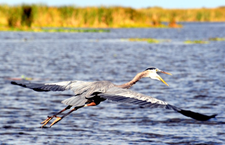 IRT.010613.Around Town.3