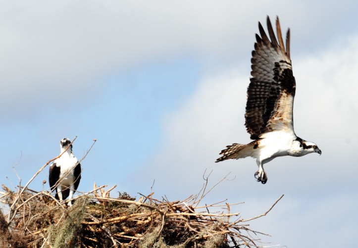 IRT.010613.Around Town.4