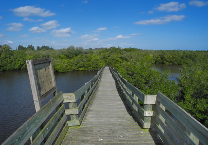 Oslo Riverfront Conservation Area observation tower.  The entrance to the 336-acre conservation area is located on Oslo Road east of U.S. Highway One. 