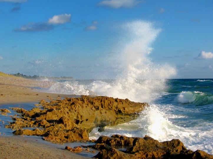 Blowing Rock Preserve - Jupiter Island