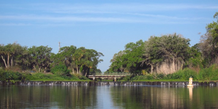 Reducing storm water runoff from draining canals such as the one pictured above, eliminating septic tanks near the Lagoon and canals and restricting fertilizers  are, according to experts, the only three approaches to reversing the decline of the Lagoon.  