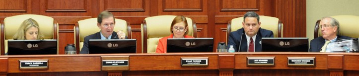 IV.021313.City Council 2