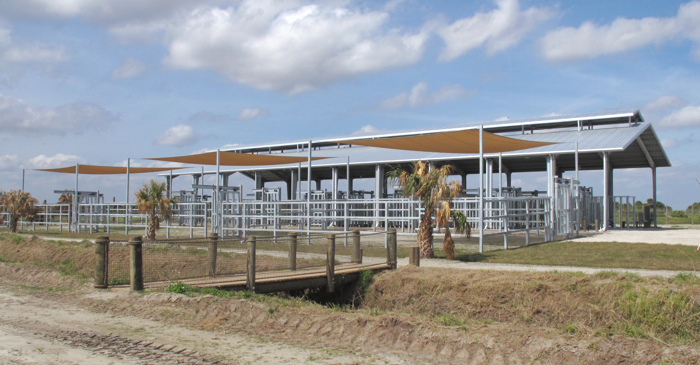 Phase one of the National Elephant Center, unveiled Wednesday, includes a 13,000-sqhare-foot receiving area, a keeper's station and four paddocks.