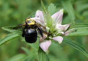 Photo By Janice Broda