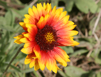 Photo By Janice Broda