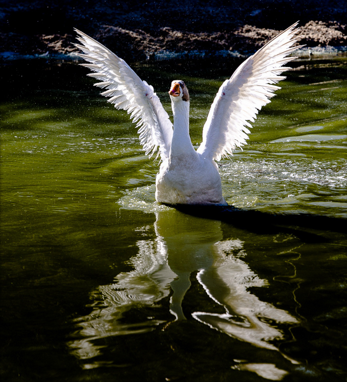 Photo By Joe Cosmano/Adventure Photography