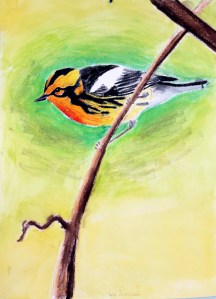 IV.042913.Sorensen.4