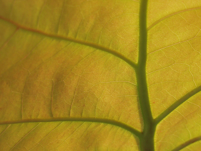 Photo By J. Scott Kelly/Adventure Photography