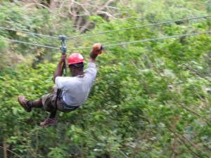 Ziplining is thrilling unless you hit a tree.