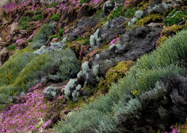 Photo By J. Scott Kelly/Adventure Photography