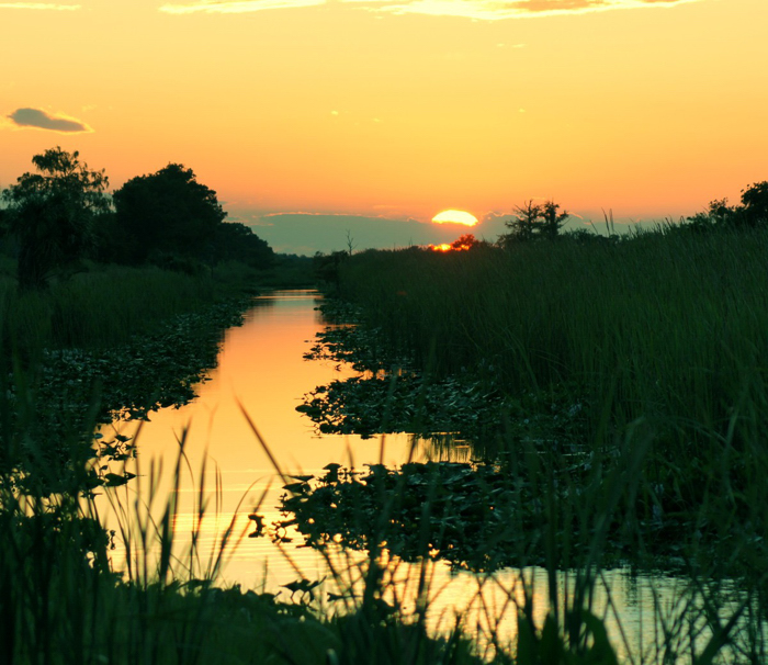 Photo By Roger T. Sobkowiak