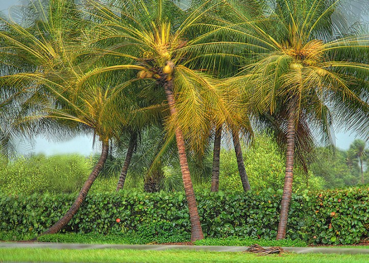 Photo By J. Scott Kelly/Adventure Photography