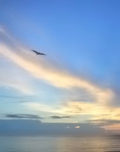 Photo By Christina Tascon