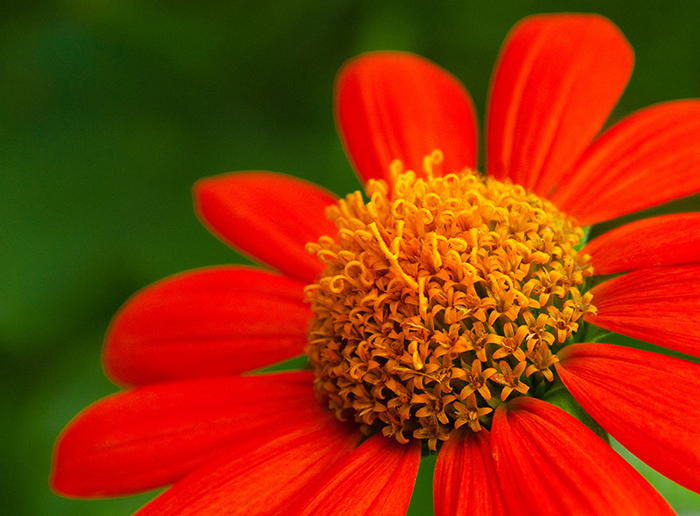 Photo By J. Scott Kelly/Adventure Photography