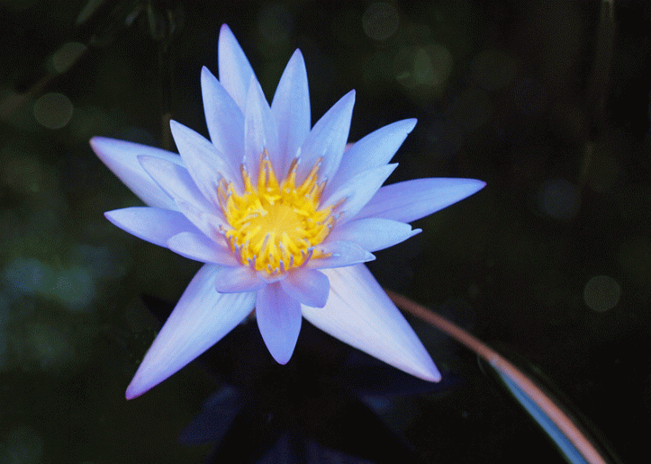 Photo By Peter Eckel/Adventure Photography