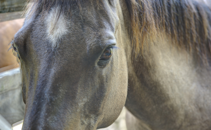 Photo By Chuck Sinclair/Adventure Photography
