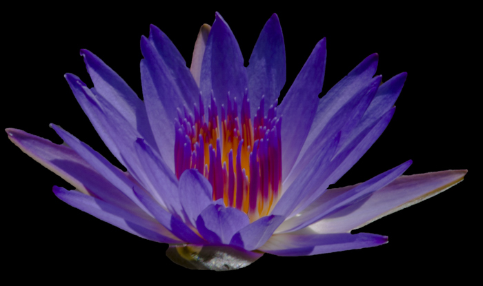 Photo By Chuck Sinclair/Adventure Photography