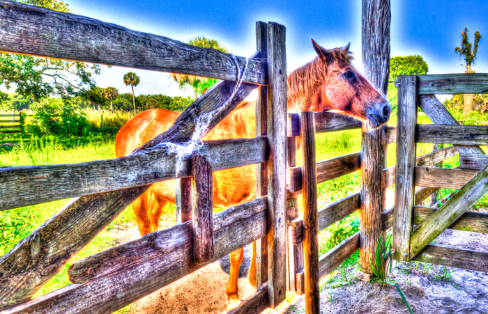 Photo By Lou Lower/Adventure Photography