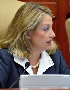 Vice Mayor Tracy Carroll