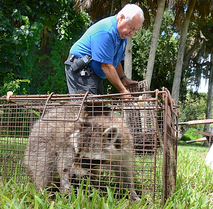 Animal control officer Bruce Dangerfield, who has handled nearly 800 calls since January, is set to retire at the end of September, when the city will no longer provide the service.  