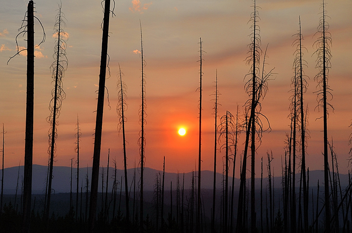 Yellowstone National Park