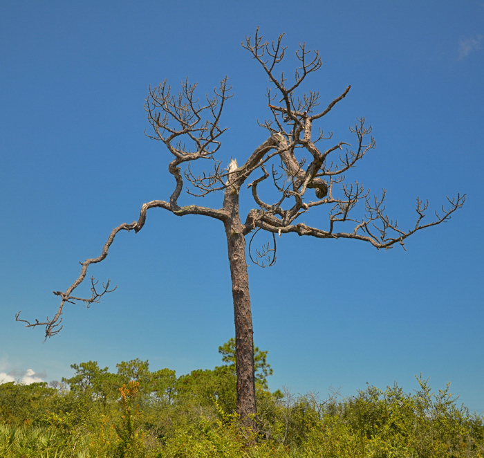 St. Sebastian State Park
