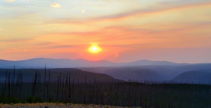 With each new sunrise we are given an opportunity to offer anew our answer to life’s inescapable question. 