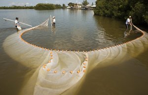 Rene Aldrin Capulong for NYT