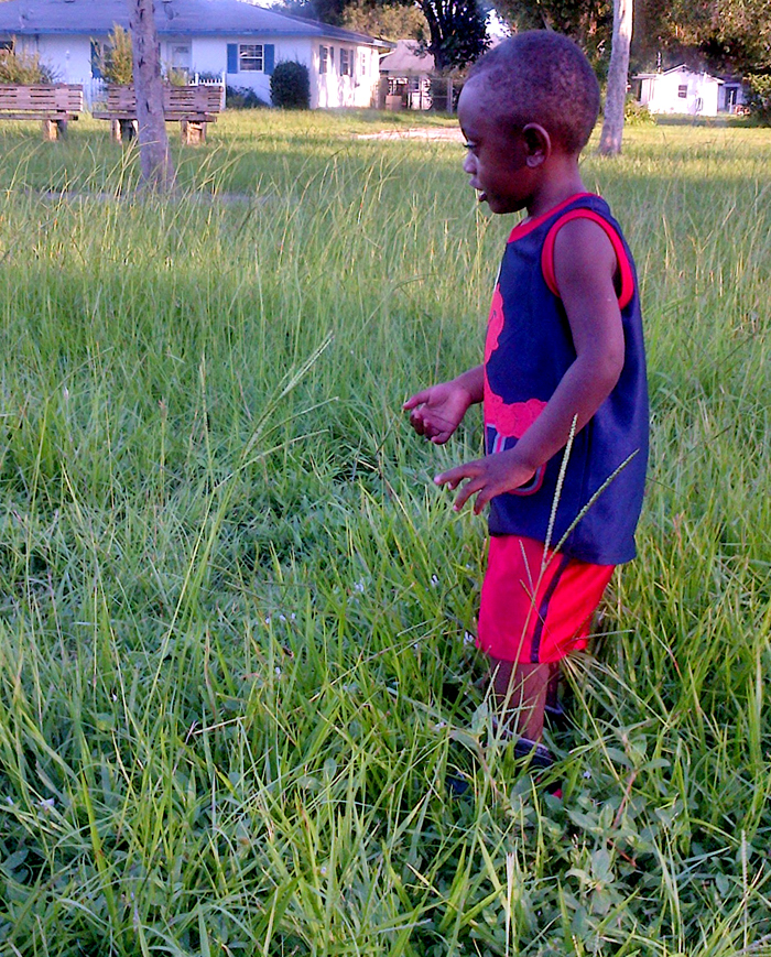 Unkept and overgrown, Piece of Pie Park is one of the many City parks now maintained by an independent contractor. The results of the City's latest effort at outsourcing have Councilman Richard Winger wanting to revisit the strategy.