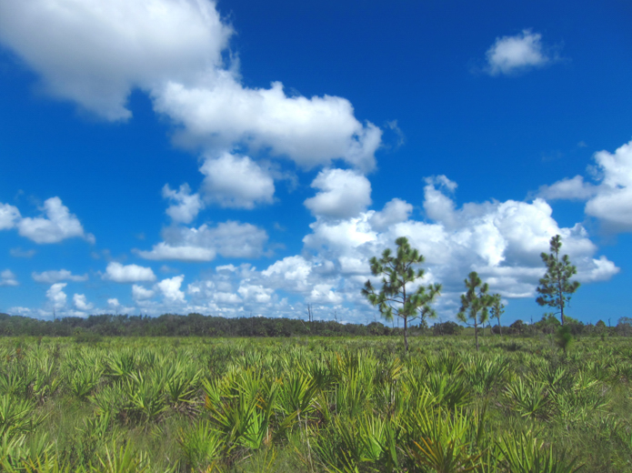 St. Sebastian River Preserve State Park