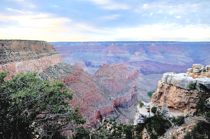 Photo By Mark McCain