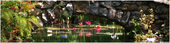 Saturday, Oct. 5 - McKee Botanical Garden Community Appreciation Day, 10 a.m. to 5 p.m