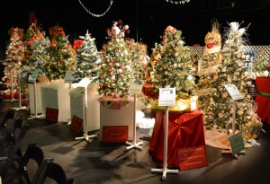 Festival of Trees 112313