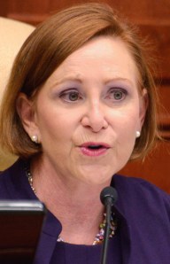 Pilar Turner nominated herself for VIce Mayor.  The new council elected Jay Kramer to the position.