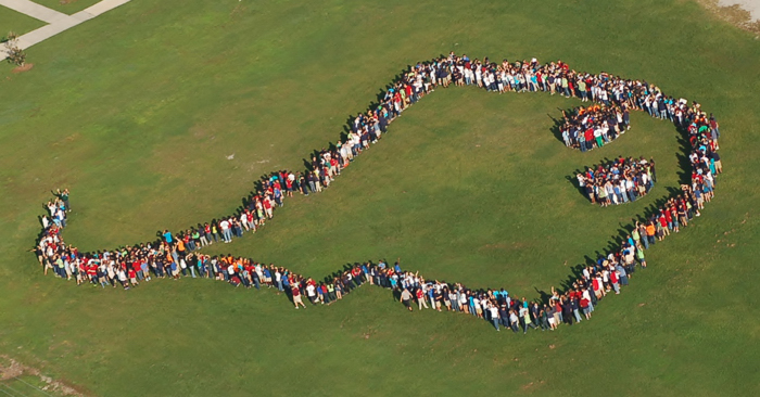 No doubt about it! That’s A Sting Ray!