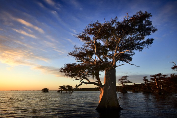 Photo by Bob Barbour at www.BobBarbourPhotography.com