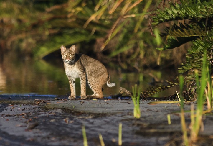 Photo by Bob Barbour at www.BobBarbourPhotography.com