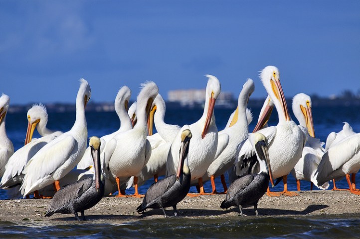 Photo by Bob Barbour at www.BobBarbourPhotography.com.