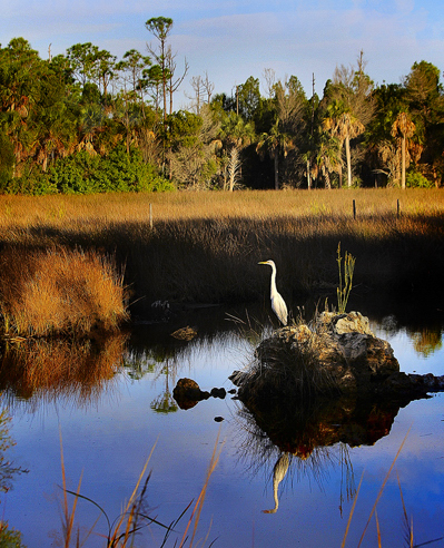 Photo by Bob Barbour at www.BobBarbourPhotography.com