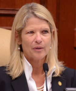 State Rep. Debbie Mayfield