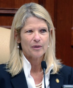  State Rep. Debbie Mayfield