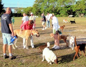 As an interim move toward protecting the off-leash dog exercise area from sale or lease without voter approval, the City Council this week approved rezoning the property from Marina to Park.
