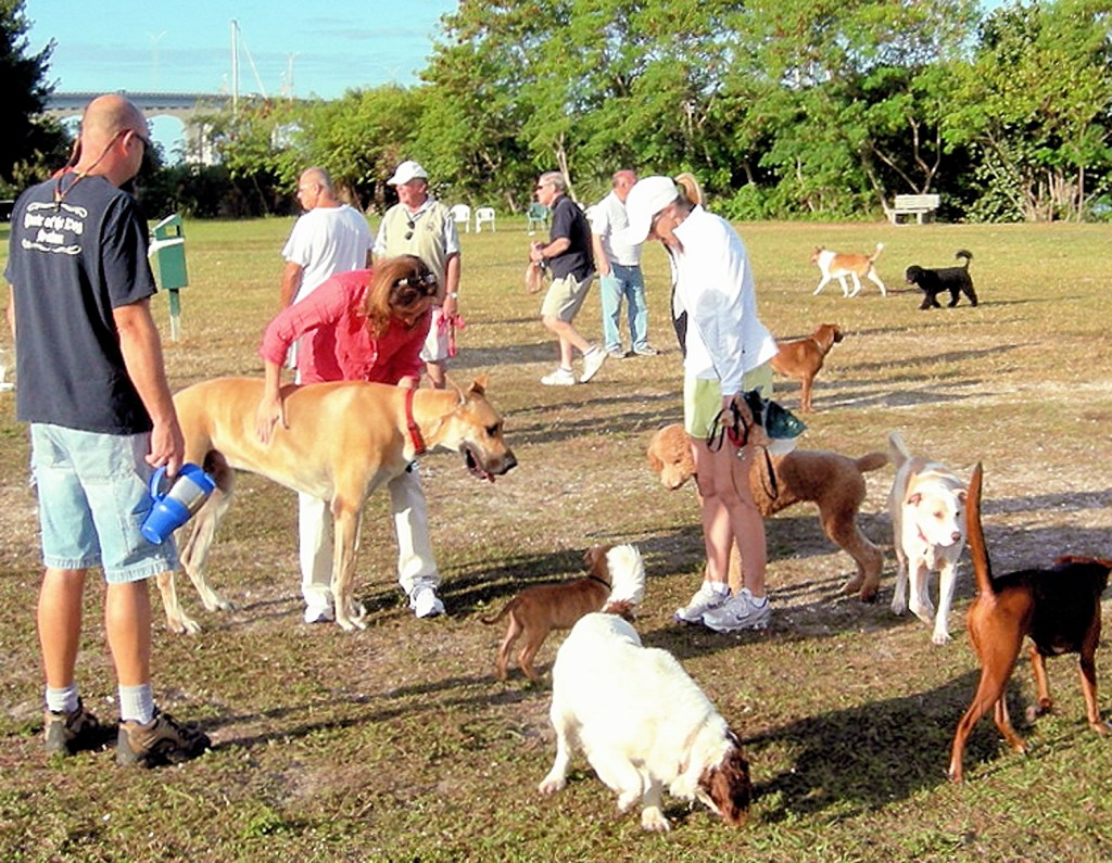 As an interim move toward protecting the off-leash dog exercise area from sale or lease without voter approval, the City Council this week approved rezoning the property from Marina to Park.