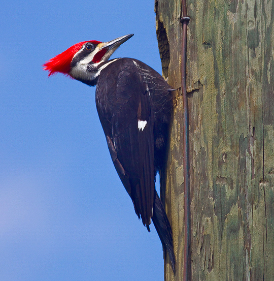 Photo by Bob Barbour at www.BobBarbourPhotography.com.