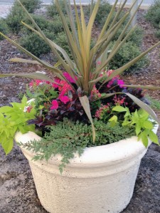 MSVB_BotanicalConceptsPot