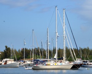 Nestled in a beautiful setting and shielded from winds, the Vero Beach City Marina is a prime stopping point for folks seeking to ride out the winter here in great little town like Vero Beach.
