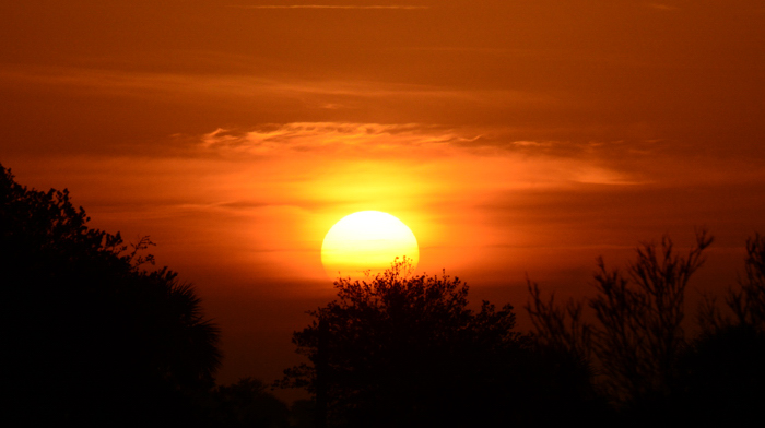 Kissimmee Prairie Preserve