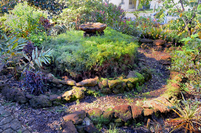 Jan. 23 - Earthscaping - 1